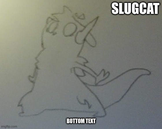 I decided to do something with my hands | SLUGCAT; BOTTOM TEXT | made w/ Imgflip meme maker