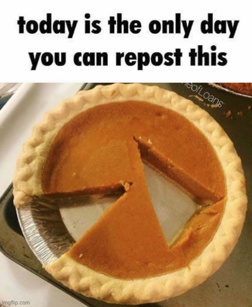 pi day | image tagged in today is the only day you can repost this | made w/ Imgflip meme maker