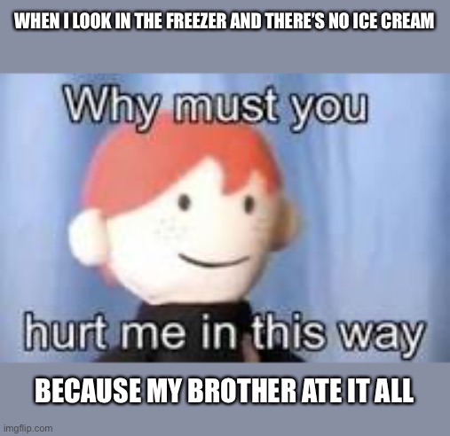Why must you hurt me in this way | WHEN I LOOK IN THE FREEZER AND THERE’S NO ICE CREAM; BECAUSE MY BROTHER ATE IT ALL | image tagged in why must you hurt me in this way | made w/ Imgflip meme maker