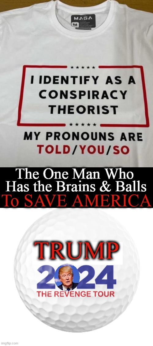 MAGA Puts Americans FIRST | Has the Brains & Balls; The One Man Who; To SAVE AMERICA; TRUMP | image tagged in politics,donald trump,maga,americans,conspiracy theory,truth | made w/ Imgflip meme maker