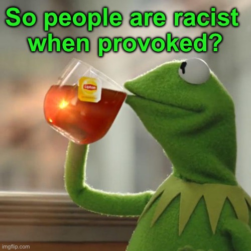 But That's None Of My Business Meme | So people are racist 
when provoked? | image tagged in memes,but that's none of my business,kermit the frog | made w/ Imgflip meme maker