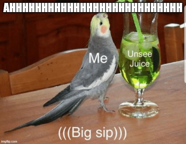 Unsee juice | AHHHHHHHHHHHHHHHHHHHHHHHHHHH | image tagged in unsee juice | made w/ Imgflip meme maker