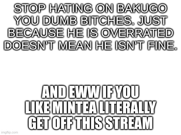 like omg | STOP HATING ON BAKUGO YOU DUMB BITCHES. JUST BECAUSE HE IS OVERRATED DOESN'T MEAN HE ISN'T FINE. AND EWW IF YOU LIKE MINTEA LITERALLY GET OFF THIS STREAM | image tagged in bakugos so hot,fine bakugo | made w/ Imgflip meme maker