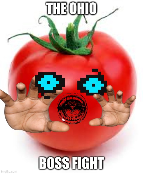 tomato | THE OHIO; BOSS FIGHT | image tagged in tomato | made w/ Imgflip meme maker