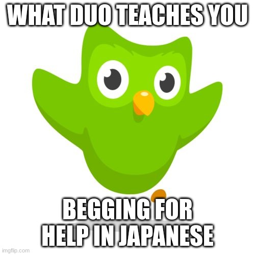 things duolingo teaches you | WHAT DUO TEACHES YOU; BEGGING FOR HELP IN JAPANESE | image tagged in things duolingo teaches you | made w/ Imgflip meme maker