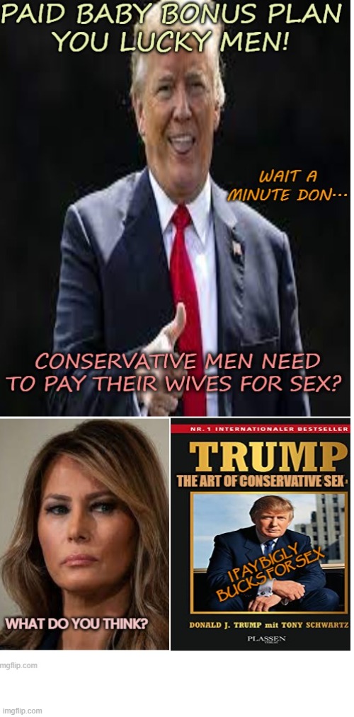 paid Conservative procreation | image tagged in maga,donald trump,baby,money,politics | made w/ Imgflip meme maker