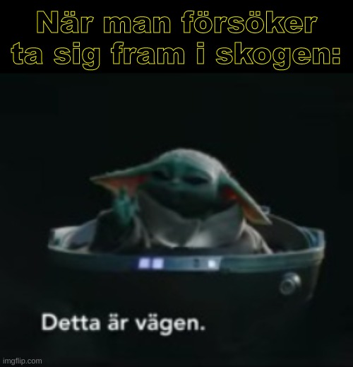 "Detta är vägen"/"This is the way" | När man försöker ta sig fram i skogen: | image tagged in detta r v gen / this is the way | made w/ Imgflip meme maker