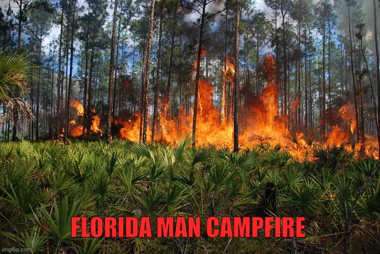 Florida campfire | FLORIDA MAN CAMPFIRE | image tagged in florida campfire | made w/ Imgflip meme maker