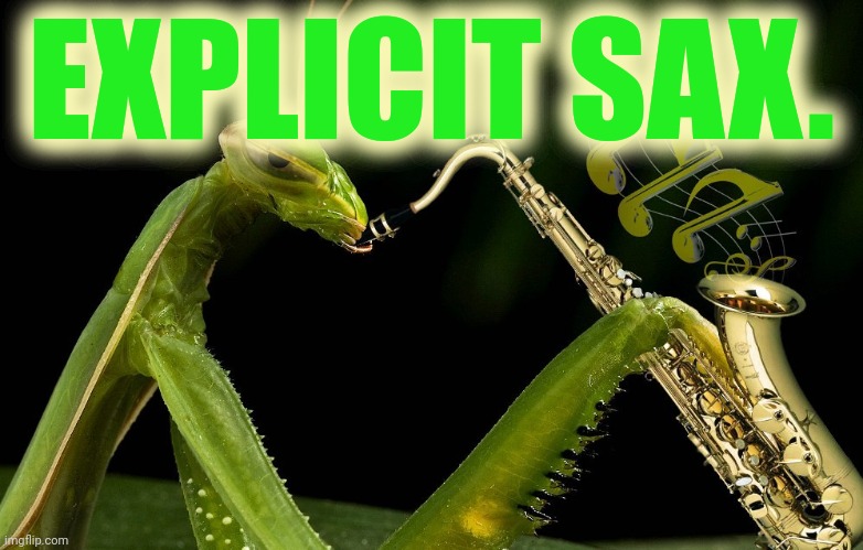 No this is not ok | EXPLICIT SAX. | image tagged in mantis playing sax,stop it get some help | made w/ Imgflip meme maker