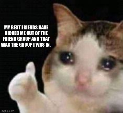 Approved crying cat | MY BEST FRIENDS HAVE KICKED ME OUT OF THE FRIEND GROUP AND THAT WAS THE GROUP I WAS IN. | image tagged in approved crying cat,school,bff,broke | made w/ Imgflip meme maker