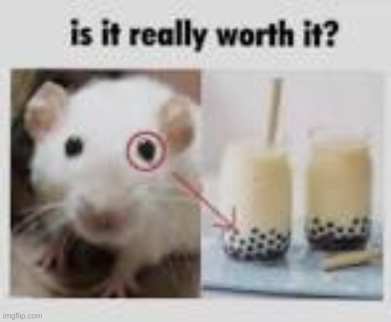 Yes | image tagged in msmg | made w/ Imgflip meme maker