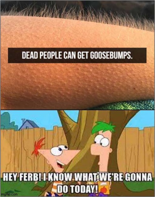 I Wonder If This Is True ? | image tagged in dead people,goosebumps,hey ferb,dark humour | made w/ Imgflip meme maker