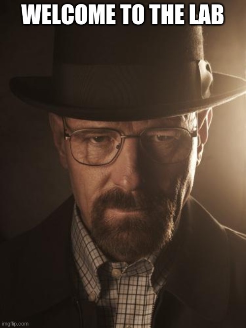 Walter White | WELCOME TO THE LAB | image tagged in walter white | made w/ Imgflip meme maker