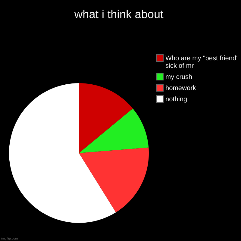 what i think about | nothing, homework, my crush, Who are my "best friend" sick of mr | image tagged in charts,pie charts | made w/ Imgflip chart maker