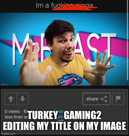 He said i am a f**king N Wodr ? | TURKEY_GAMING2 EDITING MY TITLE ON MY IMAGE | image tagged in mod abuse | made w/ Imgflip meme maker