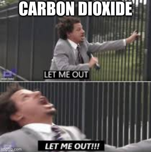 let me out | CARBON DIOXIDE | image tagged in let me out | made w/ Imgflip meme maker