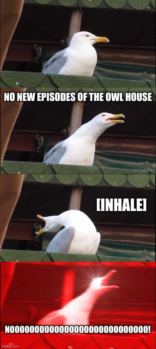 Inhaling Seagull Meme | NO NEW EPISODES OF THE OWL HOUSE; [INHALE]; NOOOOOOOOOOOOOOOOOOOOOOOOOOOO! | image tagged in memes,inhaling seagull | made w/ Imgflip meme maker