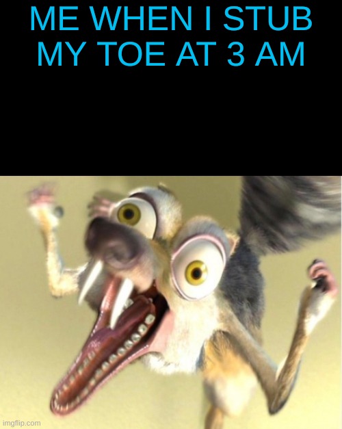 lolz | ME WHEN I STUB MY TOE AT 3 AM | image tagged in overreacting squirrel | made w/ Imgflip meme maker