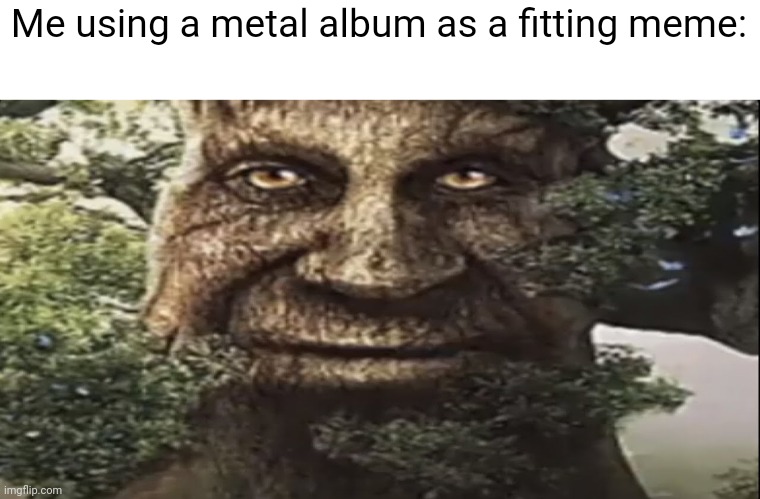 Wise mystical tree | Me using a metal album as a fitting meme: | image tagged in wise mystical tree | made w/ Imgflip meme maker