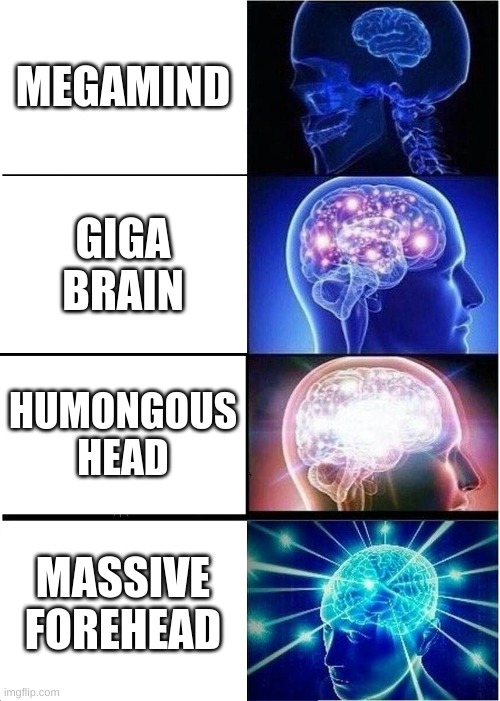 megamind will hate me for this | MEGAMIND; GIGA BRAIN; HUMONGOUS HEAD; MASSIVE FOREHEAD | image tagged in memes,expanding brain | made w/ Imgflip meme maker