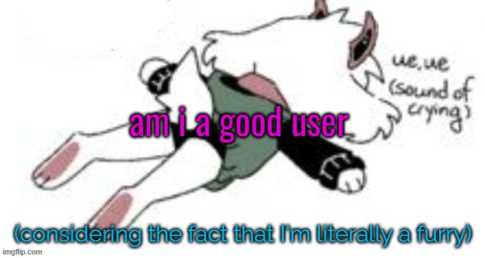 ue, ue (sound of crying) | am i a good user; (considering the fact that I'm literally a furry) | image tagged in ue ue sound of crying | made w/ Imgflip meme maker