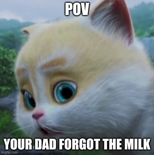 POV; YOUR DAD FORGOT THE MILK | image tagged in cats,milk | made w/ Imgflip meme maker