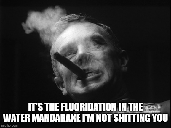 General Ripper (Dr. Strangelove) | IT'S THE FLUORIDATION IN THE WATER MANDARAKE I'M NOT SHITTING YOU | image tagged in general ripper dr strangelove | made w/ Imgflip meme maker