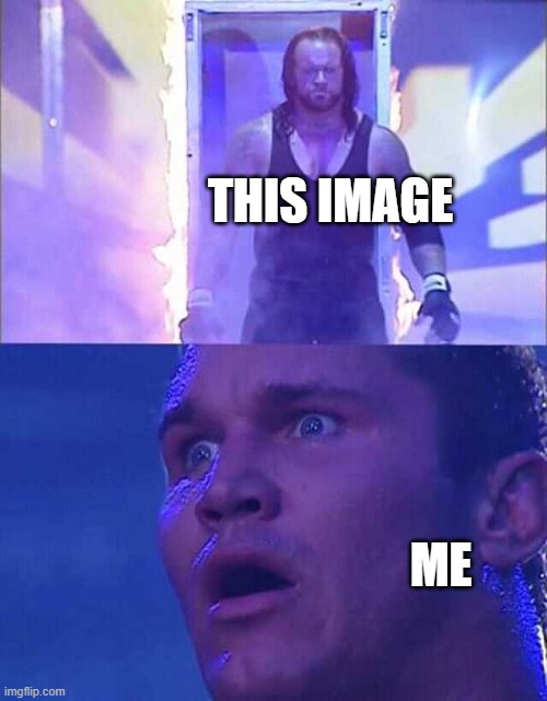 Randy Orton, Undertaker | THIS IMAGE ME | image tagged in randy orton undertaker | made w/ Imgflip meme maker