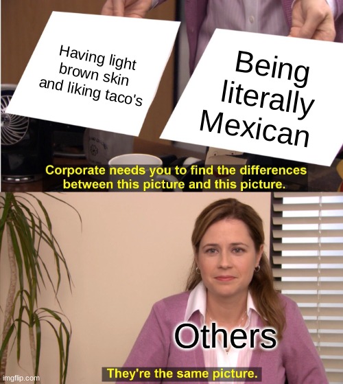 taco | Having light brown skin and liking taco's; Being literally Mexican; Others | image tagged in memes,they're the same picture | made w/ Imgflip meme maker