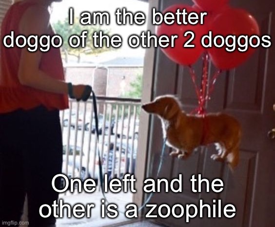 walkin me dog fr | I am the better doggo of the other 2 doggos; One left and the other is a zoophile | image tagged in walkin me dog fr | made w/ Imgflip meme maker