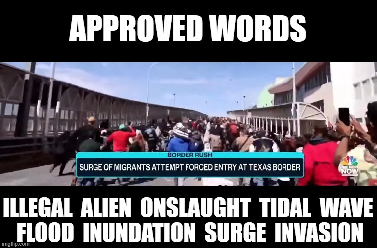 APPROVED WORDS; ILLEGAL  ALIEN  ONSLAUGHT  TIDAL  WAVE
 FLOOD  INUNDATION  SURGE  INVASION | made w/ Imgflip meme maker