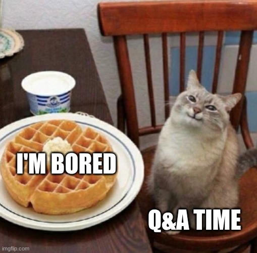 Image Title | I'M BORED; Q&A TIME | image tagged in cat likes their waffle | made w/ Imgflip meme maker