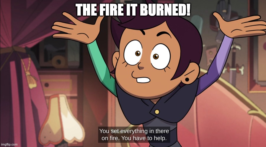 The Fire | THE FIRE IT BURNED! | image tagged in the owl house | made w/ Imgflip meme maker