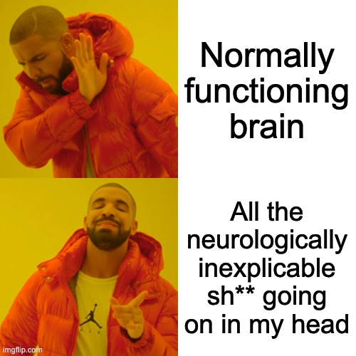 Drake Hotline Bling Meme | Normally functioning brain; All the neurologically inexplicable sh** going on in my head | image tagged in memes,drake hotline bling | made w/ Imgflip meme maker