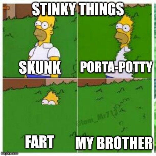 uh oh stinky | STINKY THINGS; SKUNK; PORTA-POTTY; MY BROTHER; FART | image tagged in homer hides | made w/ Imgflip meme maker