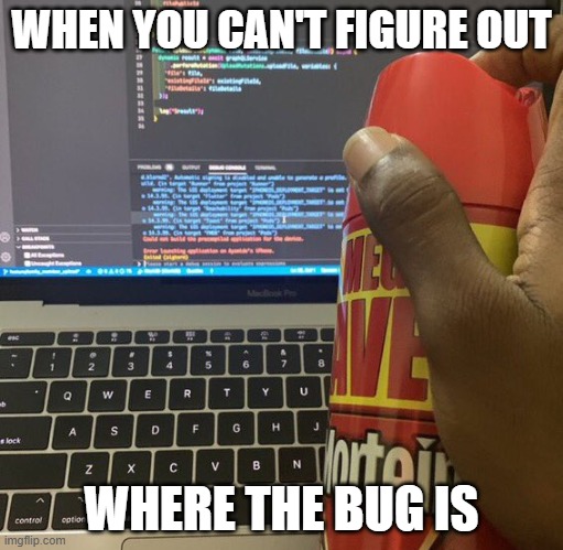 The most powerful debugging tool | WHEN YOU CAN'T FIGURE OUT; WHERE THE BUG IS | image tagged in debugging,programming,funny | made w/ Imgflip meme maker