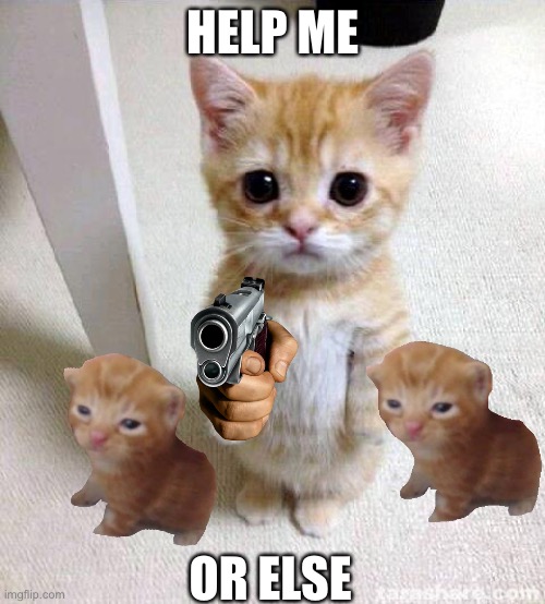 Cute Cat Meme | HELP ME; OR ELSE | image tagged in memes,cute cat | made w/ Imgflip meme maker