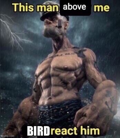 No. | BIRD | image tagged in this man above me fish react him | made w/ Imgflip meme maker