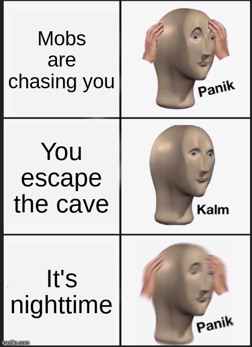 you playin minecraft |  Mobs are chasing you; You escape the cave; It's nighttime | image tagged in memes,panik kalm panik | made w/ Imgflip meme maker