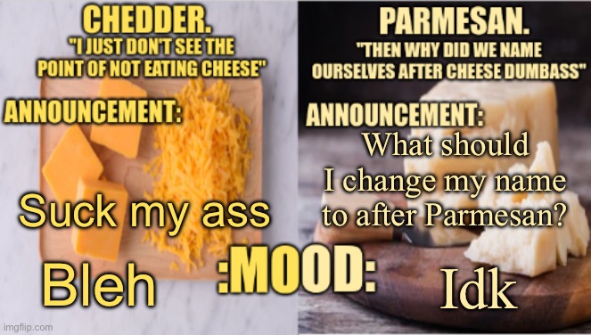 Chedder.+ Parmesan.'s Temp | What should I change my name to after Parmesan? Suck my ass; Bleh; Idk | image tagged in chedder parmesan 's temp | made w/ Imgflip meme maker