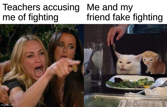 Woman Yelling At Cat Meme | Teachers accusing me of fighting; Me and my friend fake fighting | image tagged in memes,woman yelling at cat | made w/ Imgflip meme maker