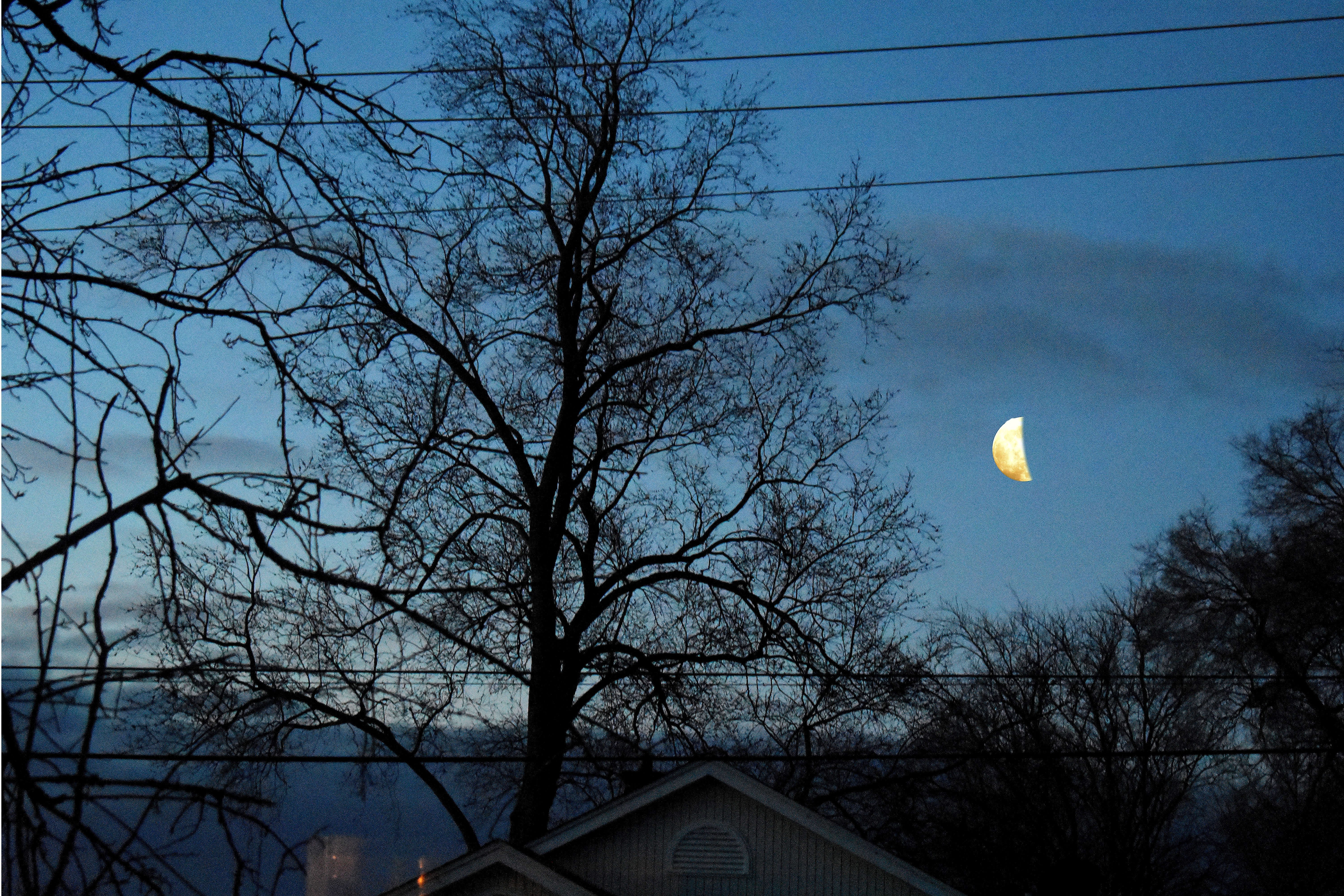 morning moon | image tagged in morning,moon | made w/ Imgflip meme maker