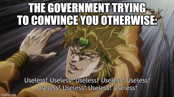 USELESS | THE GOVERNMENT TRYING TO CONVINCE YOU OTHERWISE: | image tagged in useless | made w/ Imgflip meme maker