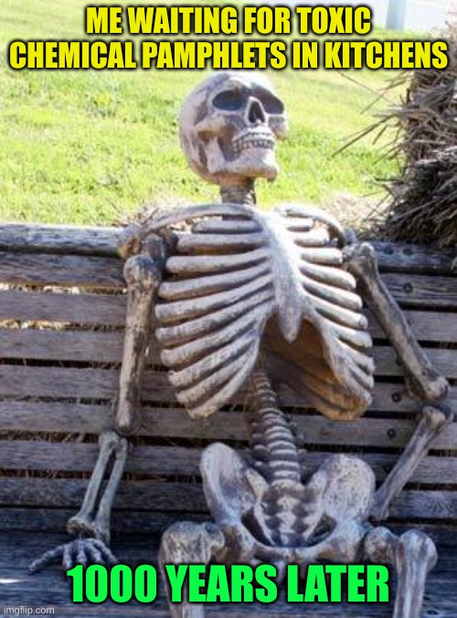 chemicals | ME WAITING FOR TOXIC CHEMICAL PAMPHLETS IN KITCHENS; 1000 YEARS LATER | image tagged in memes,waiting skeleton | made w/ Imgflip meme maker