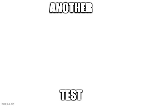 test2 | ANOTHER; TEST | image tagged in test2 | made w/ Imgflip meme maker