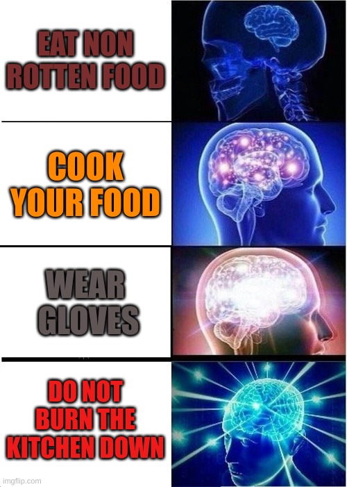 becoming a cook | EAT NON ROTTEN FOOD; COOK YOUR FOOD; WEAR  GLOVES; DO NOT BURN THE KITCHEN DOWN | image tagged in memes,expanding brain | made w/ Imgflip meme maker