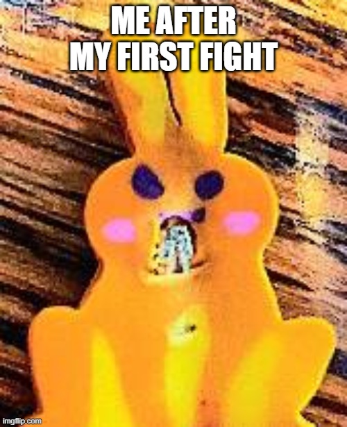 trueeeee | ME AFTER MY FIRST FIGHT | image tagged in angery rabbit | made w/ Imgflip meme maker