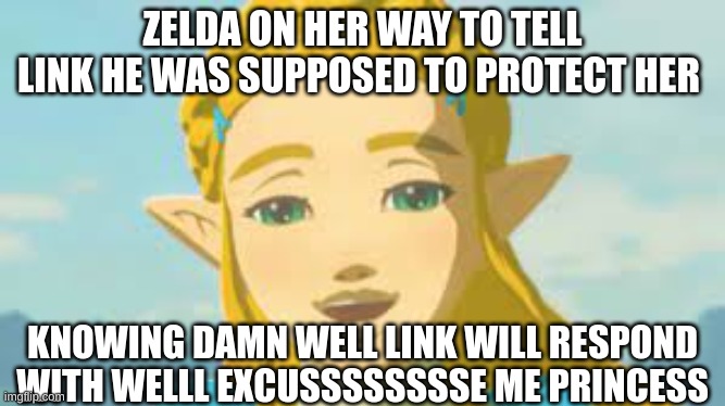 well excuse me princess | ZELDA ON HER WAY TO TELL LINK HE WAS SUPPOSED TO PROTECT HER; KNOWING DAMN WELL LINK WILL RESPOND WITH WELLL EXCUSSSSSSSSE ME PRINCESS | image tagged in gaming,the legend of zelda | made w/ Imgflip meme maker
