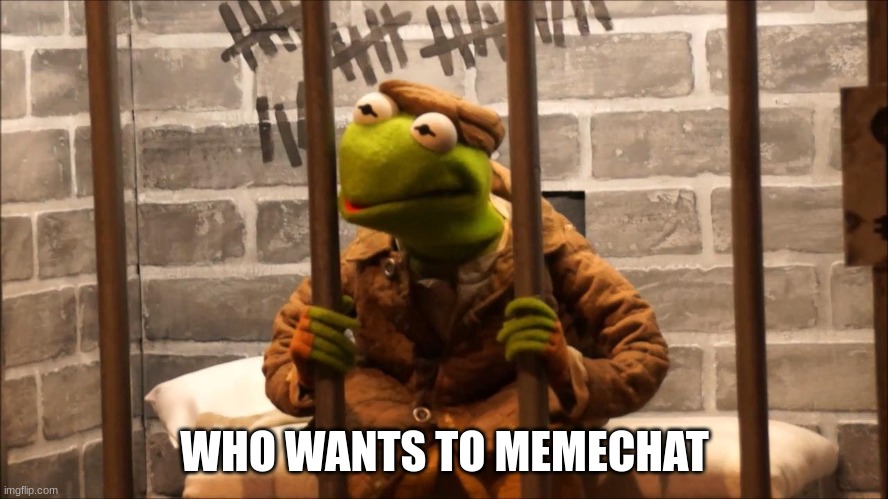 . | WHO WANTS TO MEMECHAT | image tagged in kermit in jail | made w/ Imgflip meme maker