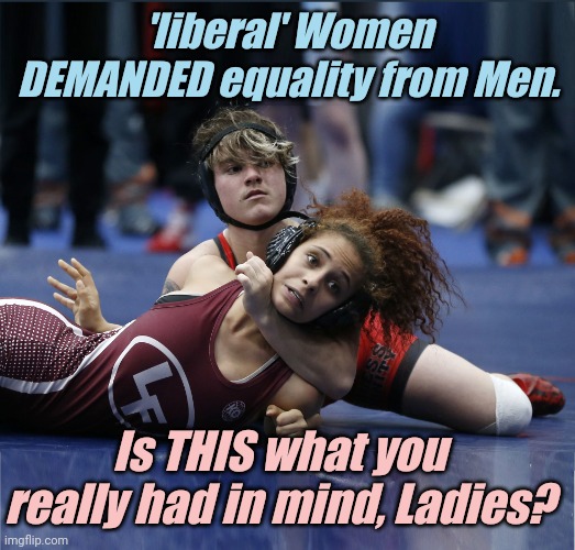 There are no Women in the NBA, NFL or NHL ... for a good reason. | 'liberal' Women DEMANDED equality from Men. Is THIS what you really had in mind, Ladies? | image tagged in liberals,democrats,lgbtq,blm,antifa,transgender | made w/ Imgflip meme maker